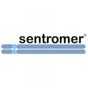 1506587231_sentromer__2_