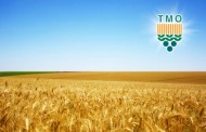 TMO’YA BUĞDAY, ARPA, MISIR VE PİRİNÇ İTHALATI İÇİN TARİFE KONTENJANI TAHSİS EDİLMİŞTİR