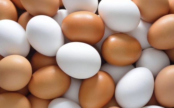 ‘İlaçlı yumurta’ raporu yayımlandı