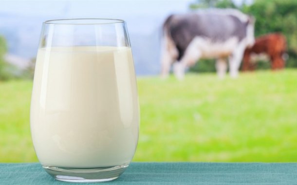 TUİK Süt Üretimi 2018
