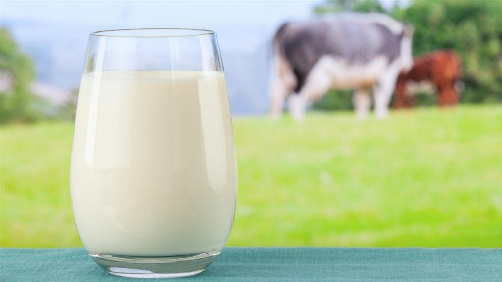 TUİK Süt Üretimi 2018
