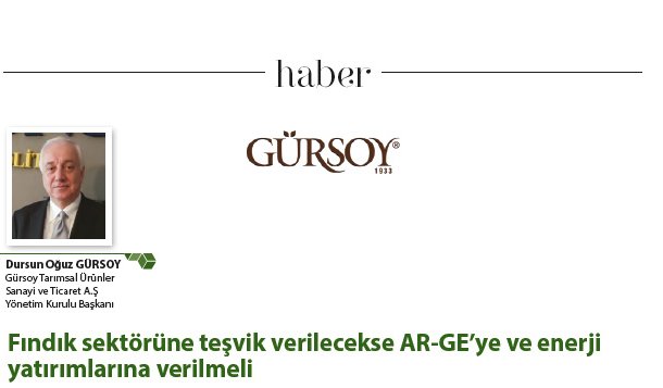 Fındık sektörüne teşvik verilecekse AR-GE’ye ve enerji yatırımlarına verilmeli