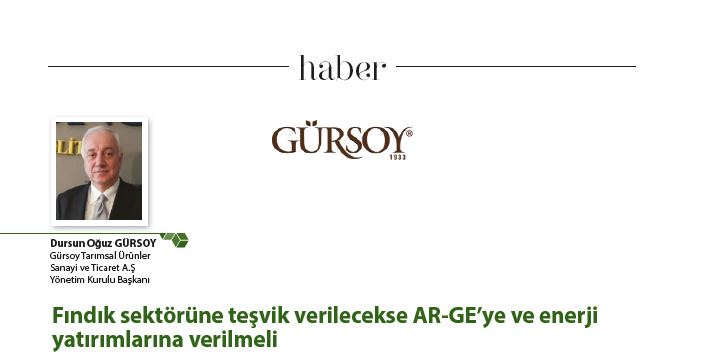 Fındık sektörüne teşvik verilecekse AR-GE’ye ve enerji yatırımlarına verilmeli