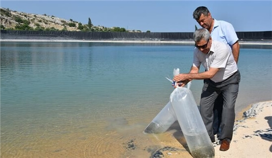 Su Kaynaklarının Balıklandırılması Projesi' kapsamında, Ayaş Lütfi Elvan Sulama Göletine 20 bin adet sazan balığı bırakıldı