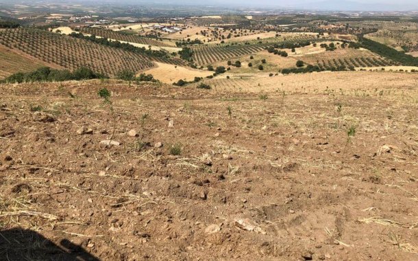 TreeT, Tarım ve Teknolojilerinde Yatırım Fırsatı Sunuyo