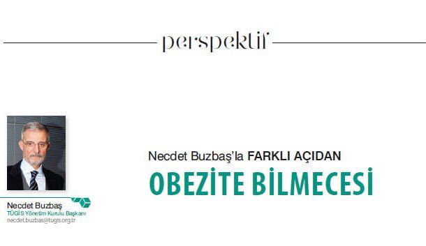 Obezite Bilmecesi