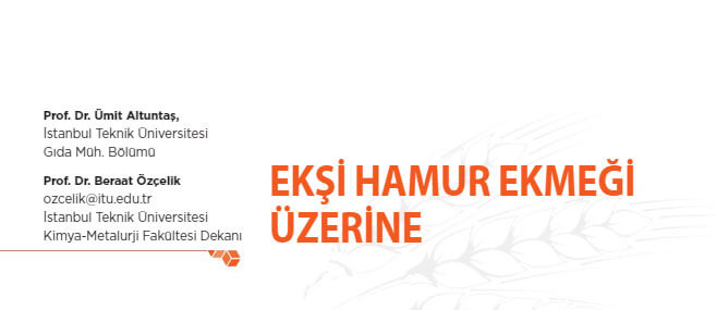 Ekşi Hamur Ekmeği Üzerine