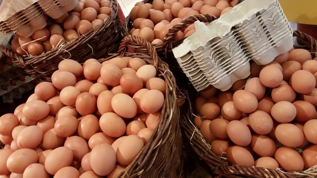 Organik Gıdada Şampiyon Yumurta