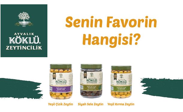 Senin Favorin Hangisi? Ayvalık Köklü Zeytincilik