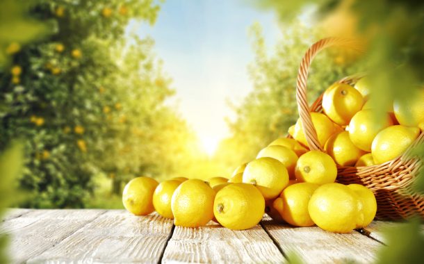 Yakıcı sıcaklarda sağlıklı limonata tarifi ile…