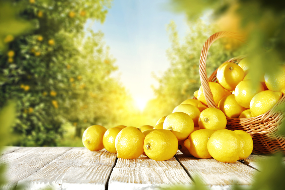 Yakıcı sıcaklarda sağlıklı limonata tarifi ile…