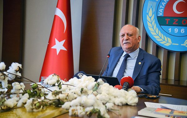 En fazla fark patlıcanda