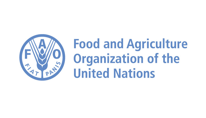 FAO,  küresel tahıl üretiminde   2 milyar 706 milyon tona ulaşacağını öngörüyor
