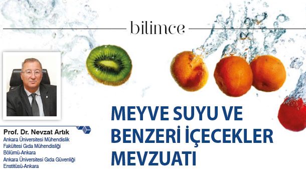 Meyve Suyu ve Benzeri İçecekler Mevzuatı