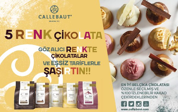 Callebaut 5 Renk Çikolata