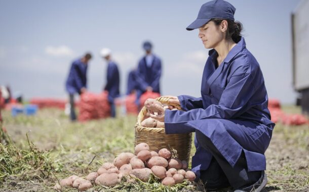 PepsiCo’dan Pozitif Tarım ile   Çiftçilere Sürdürülebilir Tarım Desteği