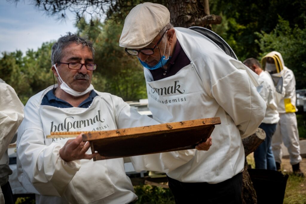 Balparmak Arıcılık Akademisi ile İstanbul İli Arı Yetiştiricileri Birliği   İstanbul’a Yeni Arıcılar Kazandırdı