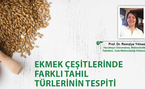 EKMEK ÇEŞİTLERİNDE FARKLI TAHIL TÜRLERİNİN TESPİTİ