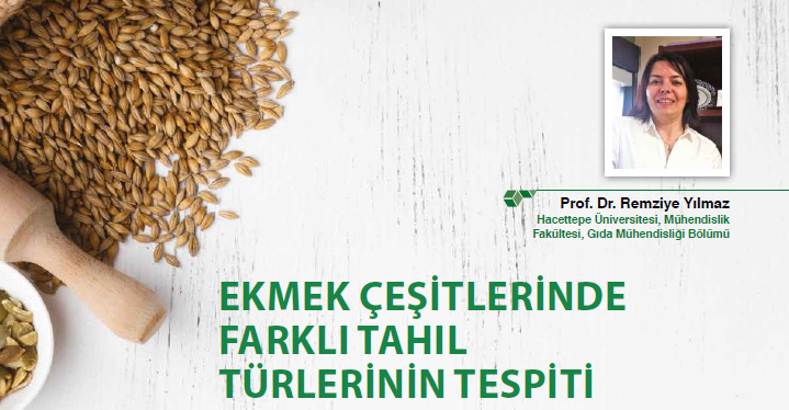 EKMEK ÇEŞİTLERİNDE FARKLI TAHIL TÜRLERİNİN TESPİTİ