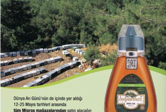 Balparmak’tan Muğla Çam Ormanlarının Yeniden Yeşermesine Destek