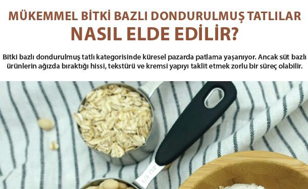 MÜKEMMEL BİTKİ BAZLI DONDURULMUŞ TATLILAR NASIL ELDE EDİLİR?