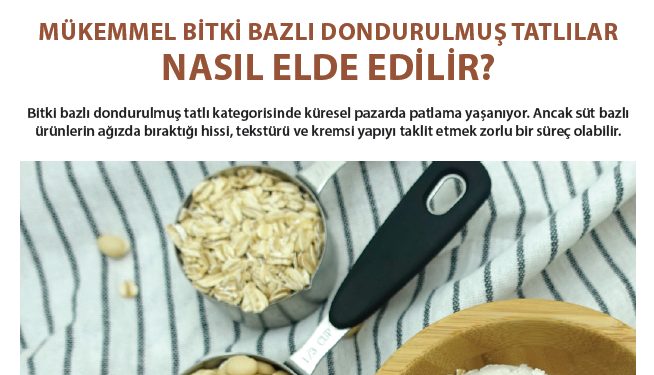 MÜKEMMEL BİTKİ BAZLI DONDURULMUŞ TATLILAR NASIL ELDE EDİLİR?