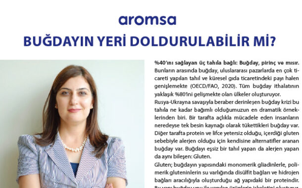 BUĞDAYIN YERİ DOLDURULABİLİR Mİ?