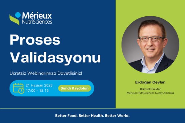 Mérieux Proses Validasyonu