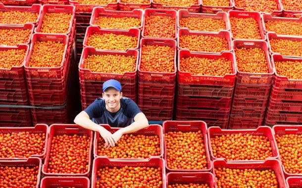 MODERN AYIRMA, BOYLAMA VE PAKETLEME ÇÖZÜMLERİ, DOMATES PAKETLEME TESİSLERİNİ NASIL DAHA REKABETÇİ KILIYOR?