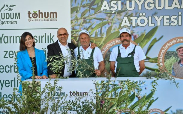 Yudum Egemden ve Tohum Derneği, yabani zeytin ağaçlarını ekonomiye kazandırmaya devam ediyor