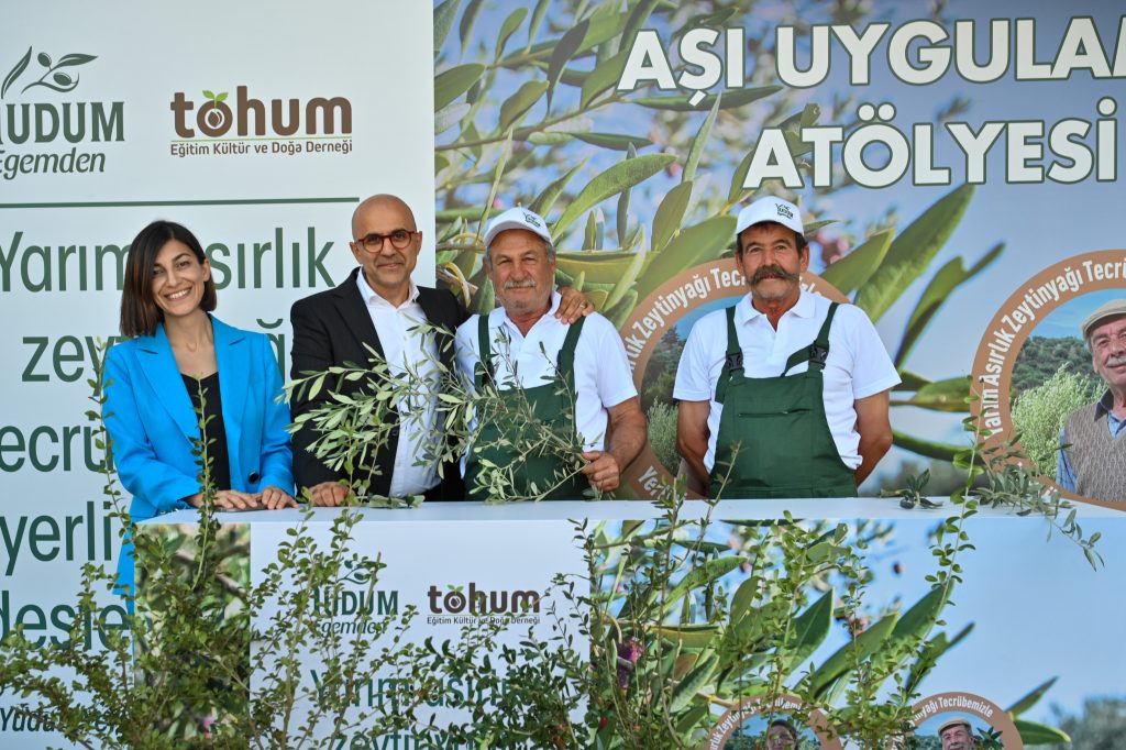 Yudum Egemden ve Tohum Derneği, yabani zeytin ağaçlarını ekonomiye kazandırmaya devam ediyor