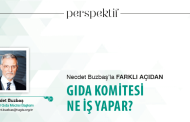 GIDA KOMİTESİ NE İŞ YAPAR?