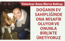 DOĞANIN EV SAHİPLİĞİNDE ONA MİSAFİR OLUYOR VE ONUNLA BİRLİKTE ÜRETİYORUZ