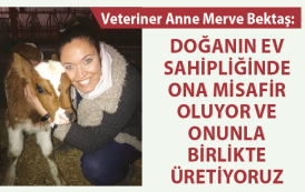 DOĞANIN EV SAHİPLİĞİNDE ONA MİSAFİR OLUYOR VE ONUNLA BİRLİKTE ÜRETİYORUZ