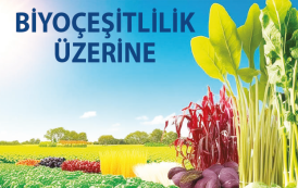 BİYOÇEŞİTLİLİK ÜZERİNE