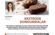 Ekstrüde Dondurmalar