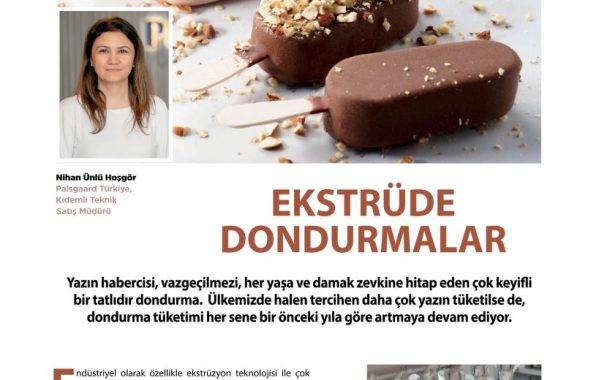 Ekstrüde Dondurmalar