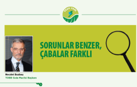 SORUNLAR BENZER, ÇABALAR FARKLI