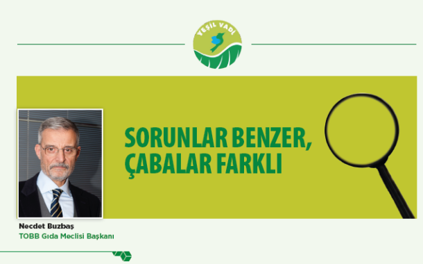 SORUNLAR BENZER, ÇABALAR FARKLI