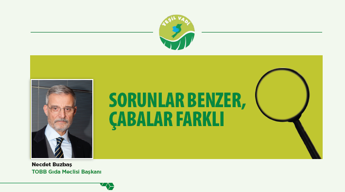 SORUNLAR BENZER, ÇABALAR FARKLI
