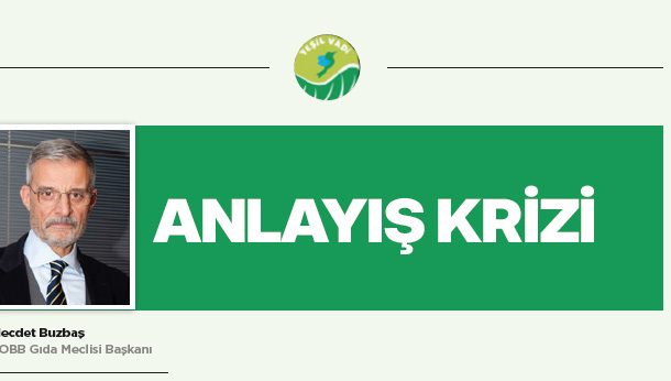 ANLAYIŞ KRİZİ