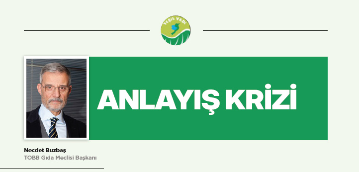 ANLAYIŞ KRİZİ