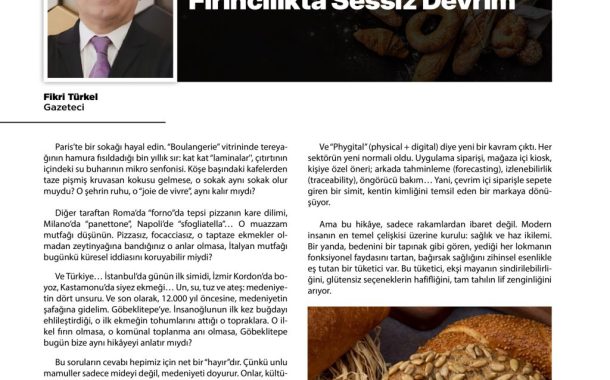 Fınrıcılıkta Sessiz Devrim