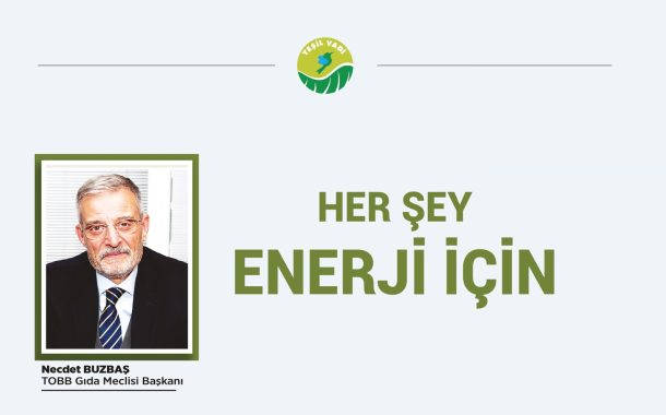 Her Şey Enerji İçin