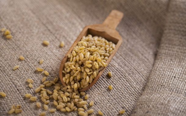 Duru Bulgur’dan 2 Bin Yıllık Genetik Mirasa Bilimsel Vefa: Ata Tohumu Ahmet Buğdayı Projesi Tamamlandı