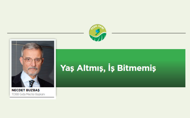Yaş Altmış, İş Bitmemiş