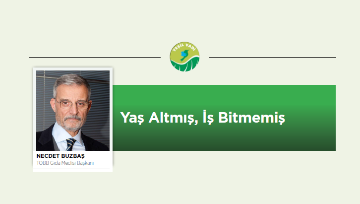 Yaş Altmış, İş Bitmemiş