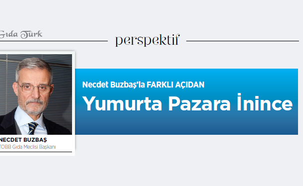 YUMURTA PAZARA İNİNCE