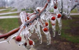 ZİRAİ DON İÇİN RİSKLİ DÖNEM YAKLAŞIYOR