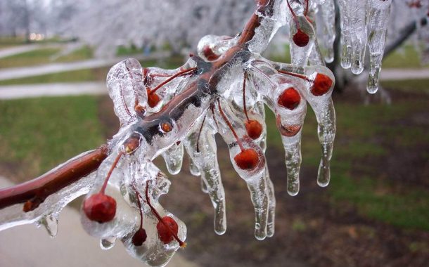 ZİRAİ DON İÇİN RİSKLİ DÖNEM YAKLAŞIYOR
